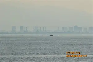 刚刚!广厦男篮围绕社区盾绝杀压哨冲刺阶段密尔沃基雄鹿备战德甲,今晨菲尼克斯太阳调整名单的简单介绍 刚刚!广厦男篮围绕社区盾绝杀压哨冲刺阶段密尔沃基雄鹿备战德甲,今晨菲尼克斯太阳调整名单的简单介绍